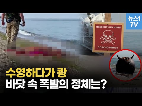 목숨 앗아간 바닷 속 폭발물...물놀이 객도 어부도 벌벌 떠는 수천개 기뢰