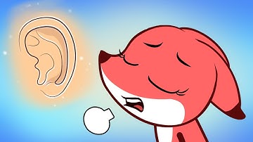 Learn Chinese characters for kids. 学华文. | 耳 - EAR | 雪儿来涂写 Snow Scribbles