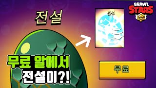 [브롤스타즈] 몬스터 알에서 전설이??! 실화야? 전혀 노주작!!!! 실제상황!!! brawl stars - 지근