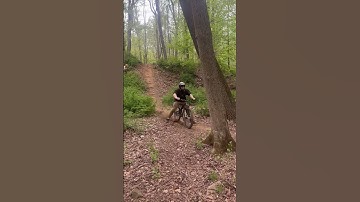 MTB Crash Into A tree 😲