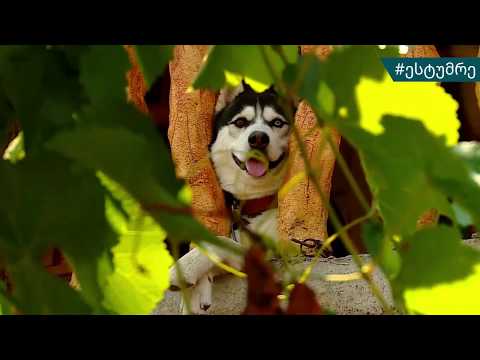 #ესტუმრე ბორჯომ-ხარაგაულის ეროვნულ პარკს!