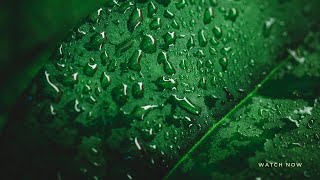 Rainy Day Reflections ☔️🌅 Cozy Ambiance for Contemplative Moods