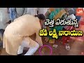 Watch: JD Lakshmi Narayana Cleaning Temple Premises