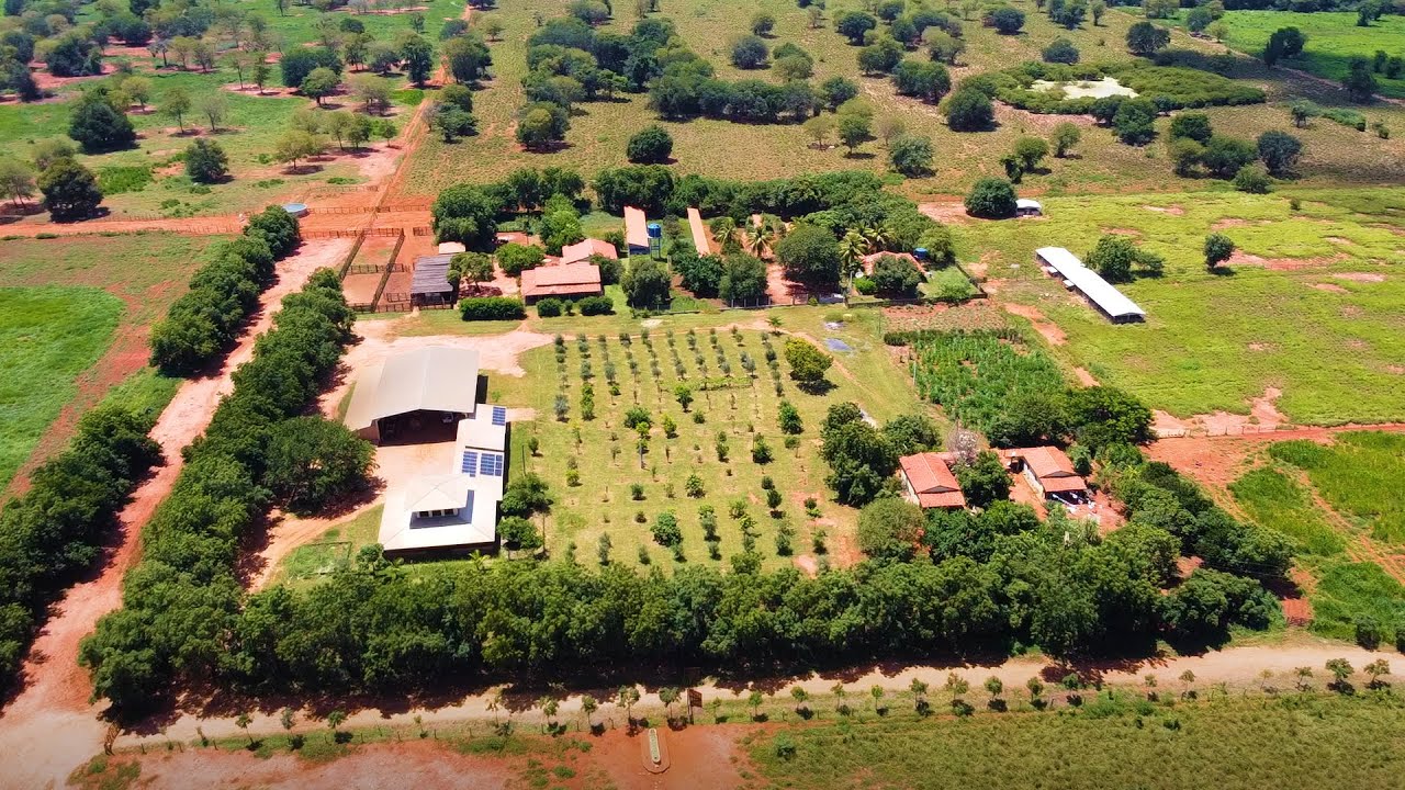Fazenda Paredão - Wanderley/BA (Oeste/BA)