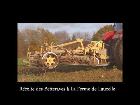 2017 Belgique - LLN, Récolte des Betteraves à La Ferme de Lauzelle, En Novembre, by HabariSalam