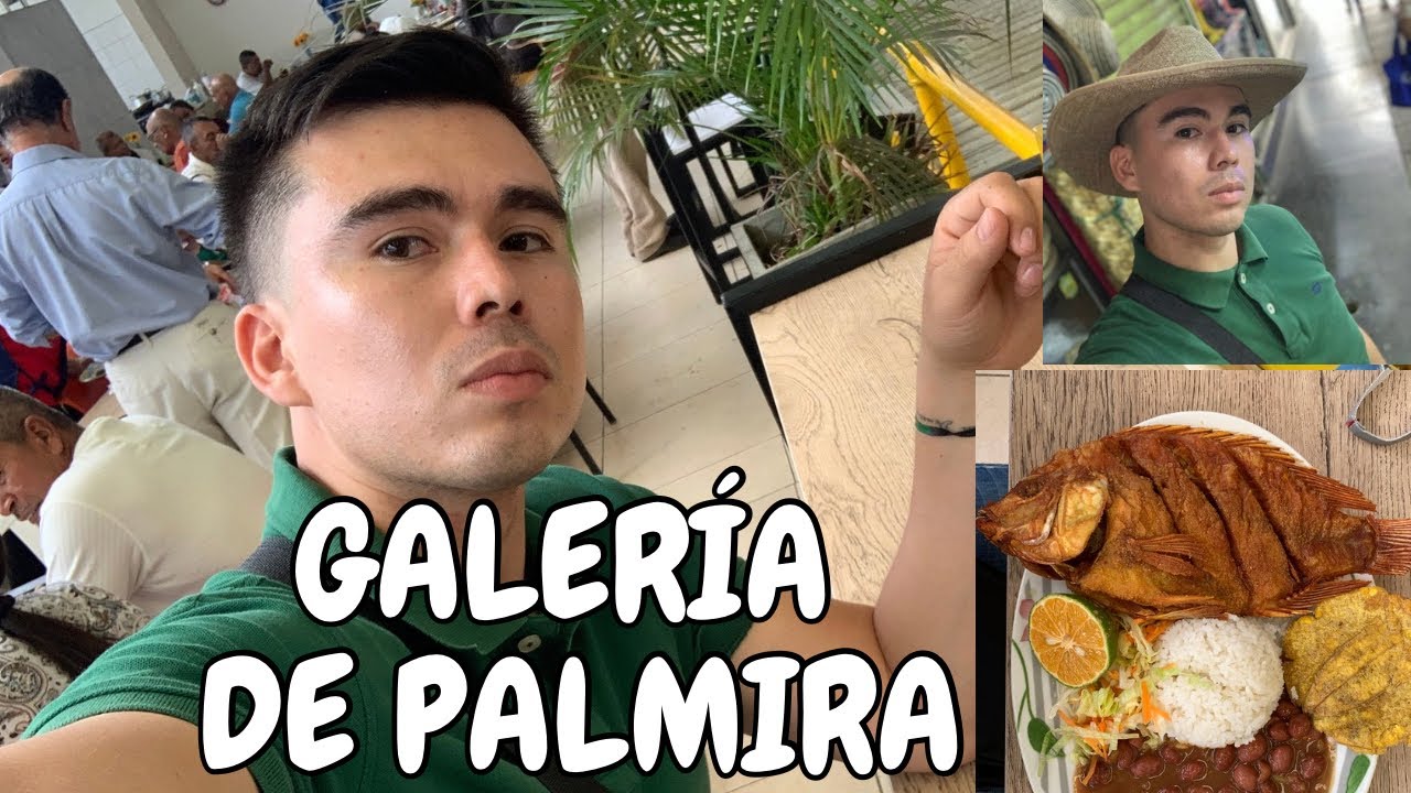 GALERÍA DE PALMIRA VALLE/ #fyp #viral #blog 