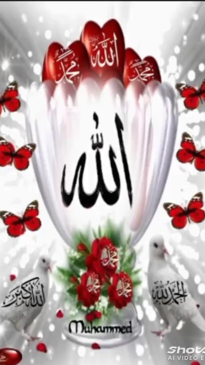 Islamicdpz🌹 collection|| Allah🥰Muhammad namedp imagesforWhatsApp Beautiful |dpzlovers#Allah0:٢8