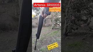Artemis SR1000S Gran Potencia #rifledeaire #pelletguns #airgun #shots #tiro #shorts #tirodeportivo