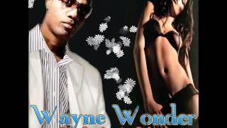 WAYNE WONDER - SHE WANTS MORE - (CASHFLOW RECORDS) (OCT 2011)