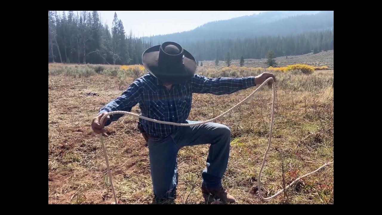 Picket Stake A Horse/Mule (Part 2 of 2) YouTube