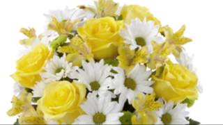 flowers and florists Lockport Larchmont NEW YORK