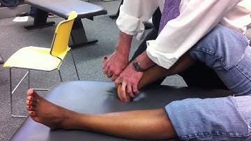 Midfoot Jt. lines (Talonavicular, Naviculocuneiform and Tarsometatarsal)