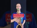 Careless Whisper Beginner Vs Pro
