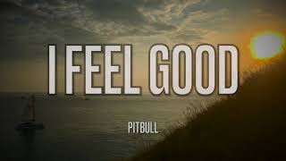 Pitbull Ft. Anthony Watts & DJWS - I Feel Good (Lyrics)
