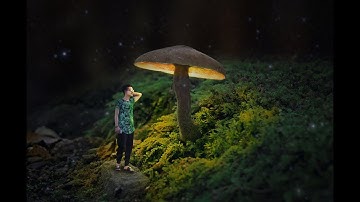 Glowing Mushroom  Photoshop Fantasy Manipulation Tutorial