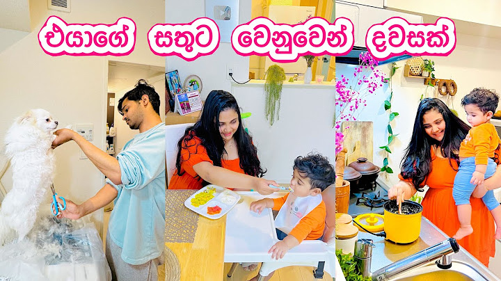 ඒ සතුට දැක්කම හිතම පිරුණා | එයා වෙනුවෙන් දවසක් | Day in the life | life in Japan 🇯🇵