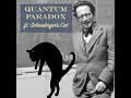 Quantum Paradox ft Schrodinger&#39;s Cat