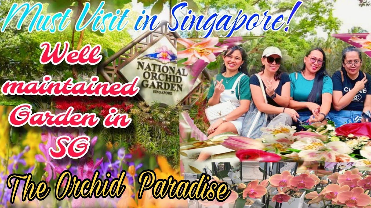 Национальный сад орхидей «Рай» в Ботаническом саду Сингапура 
