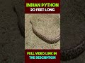 Indian Python #facts #shorts #python
