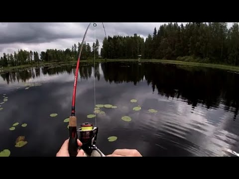 Video: Kuinka Kalastaa Toukokuussa - Kalastus Toukokuussa