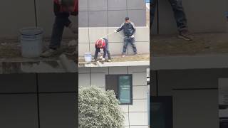 Brain Cells Just Fried