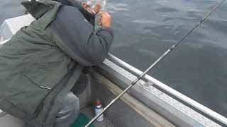 Pêche en Norvège, Lieu Noir