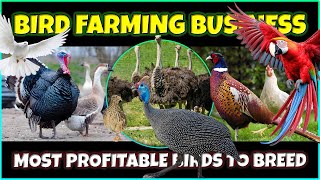 Most Profitable Birds to Breed | Best Bird Farming Businesses | Aviculture