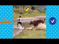 Funny  Hilarious Video Peoples Happy Life  29  Try Not To Laugh Funny Videos 2024