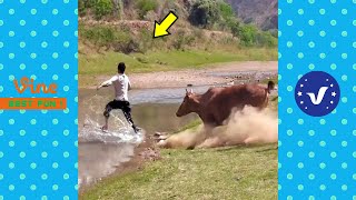 Funny & Hilarious Video People's Happy Life #29  Try Not To Laugh Funny Videos 2024