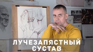 Лучезапястный сустав - А. Рыжкин