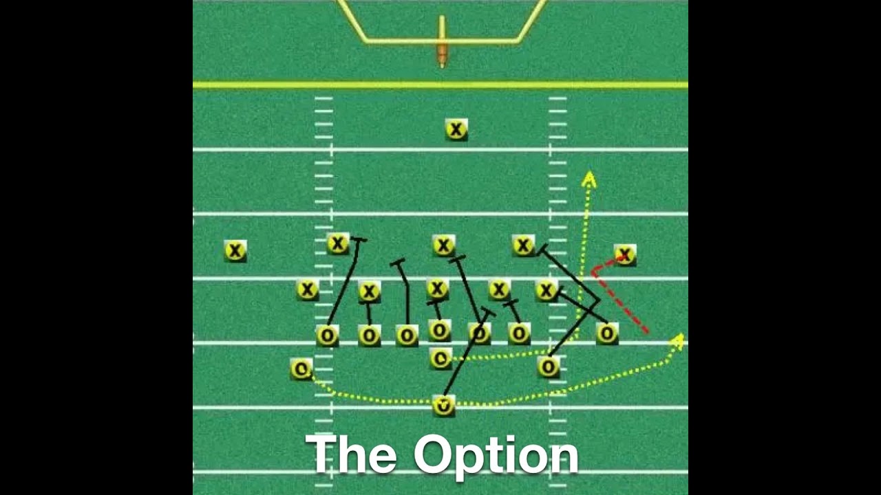 The Option 2024 Week 9