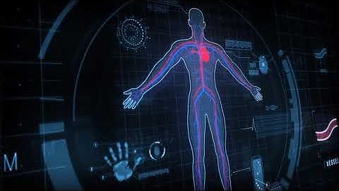Human Anatomy HUD Pack 200+ | After Effects Template | Elements