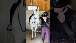 Spring fling is comin back into work!🤩 I’m excited!! 😊 #horse #farmlife #horsecare #update