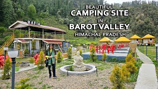 Beautiful Camping Site in Barot Valley, Himachal Pradesh