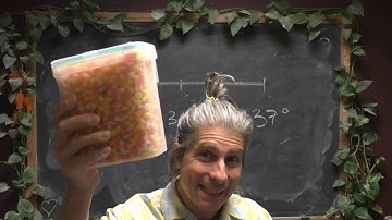 MTH 243 (Intro to Prob/Stat, Day 2)!