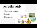 Pyrethroids: chemical control of insecticides/pyrethroids - modes of action, merits, demerits ✅