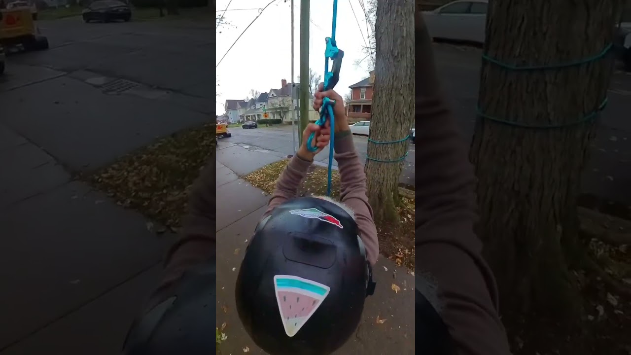 Cat in a Tree Rescue - Midnight