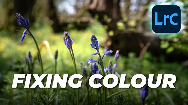 Fixing Colour in Lightroom Classic | Tutorial Tuesday