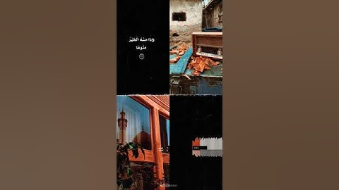 إن الإنسان خلق هلوعا    سورة المعارج / الشيخ محمود علي البنا حالات واتس قران ♥️