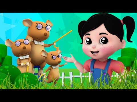 Tiga tikus buta | lagu untuk anak-anak | sajak pembibitan | sajak tikus | Three Blind Mice Song
