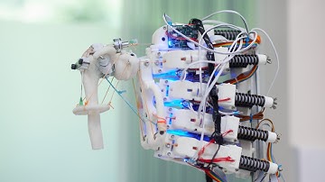 Scientists Grow Cells On Moving Robot Skeleton
