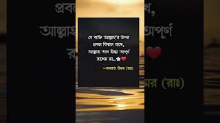 আল্লাহর উপর বিশ্বাস islam viral trending youtubeshorts