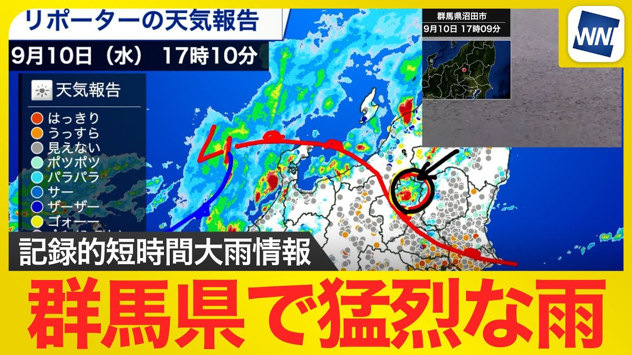 時雨確認用 WAASE E-Mark Rear Turn Signals Blinker Cover Indicator Lens For