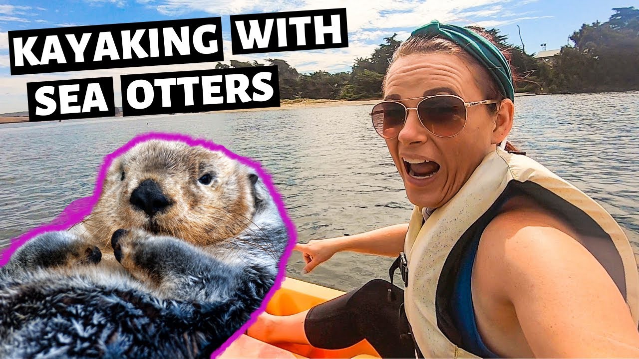 Kayaking With Sea Otters // Moss Landing, California // Pacific Coast