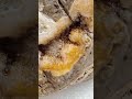 Hidden Beauty: Agatized Fossil Coral