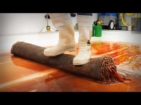 Moldy Carpet Cleaning