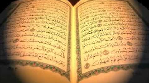 سورة الصافات   صلاح البدير