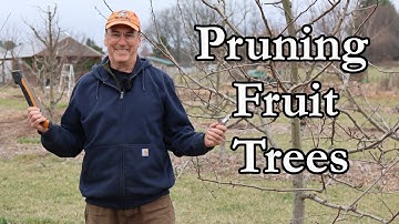 Best Pruning Practices for Fruit Trees | Watch Our Orchard Thrive!  #fruittreecare