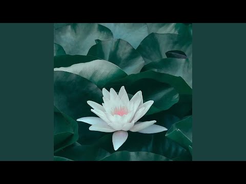 在 YouTube 上观看 助眠减压催眠曲 (八音盒)
