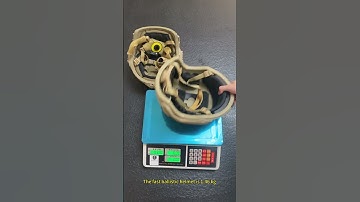 Tyditiao:How Heavy Is a High-Cut Ballistic Helmet? Wendy vs Ops-Core FAST Comparison(NIJ Level IIIA)